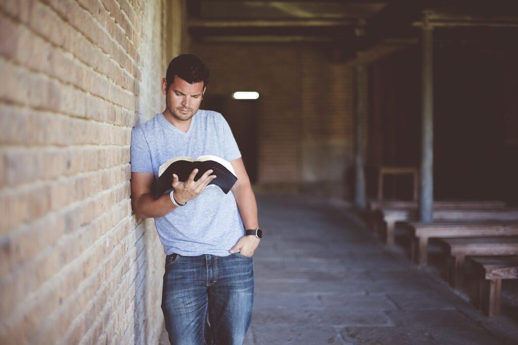 adult, book, brickwork